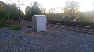 NS 22K at Port Dickinson, NY 20161015 182638