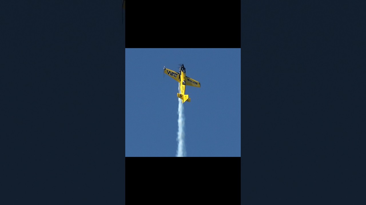 Запланированный хаос 👀💯🙈