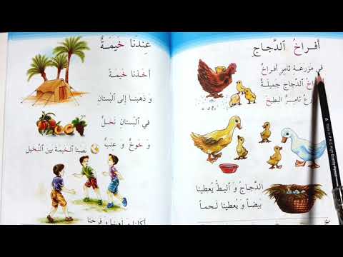 افراخ الدجاجه قراءه الصف الاول ابتدائي 