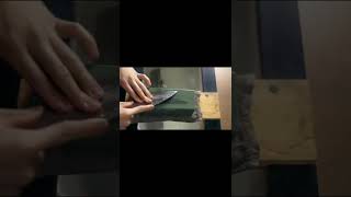 白紙2号の出刃包丁を天然砥石の丸尾山青巣板で本刃付け#shorts