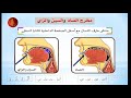 11 الدورة المبتدئة التأهيلية برواية حفص الأستاذة نعيمة حسين الدرر الحسان في القراءات العشر