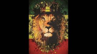 The Gladiators- can you imagine how i feel - proverbial reggae 1978