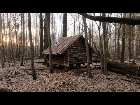 Видео: построил бревенчатый домик в одиночестве в лесу