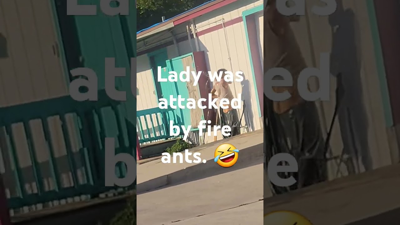 its 105 degrees outside 🤣🤣🤣 