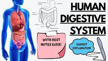 Human Digestive System with notes | Class 10 | Biology | Life Processes | CBSE & ICSE Board 2024