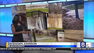 What to do after storm damage to your home or car in Rochester