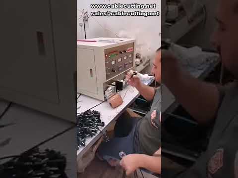 Single and Double Station Power Plug Wire Comprehensive Tester with Micro-Control and Battery Testing