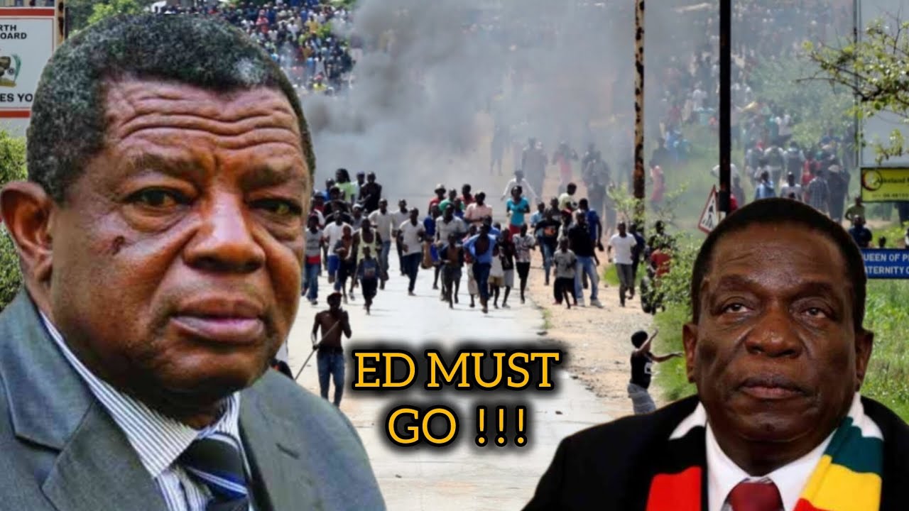 Благословенный Геза назначил дату отстранения Эда Мнангагвы от власти в Зимбабве. Демонстрация пр...