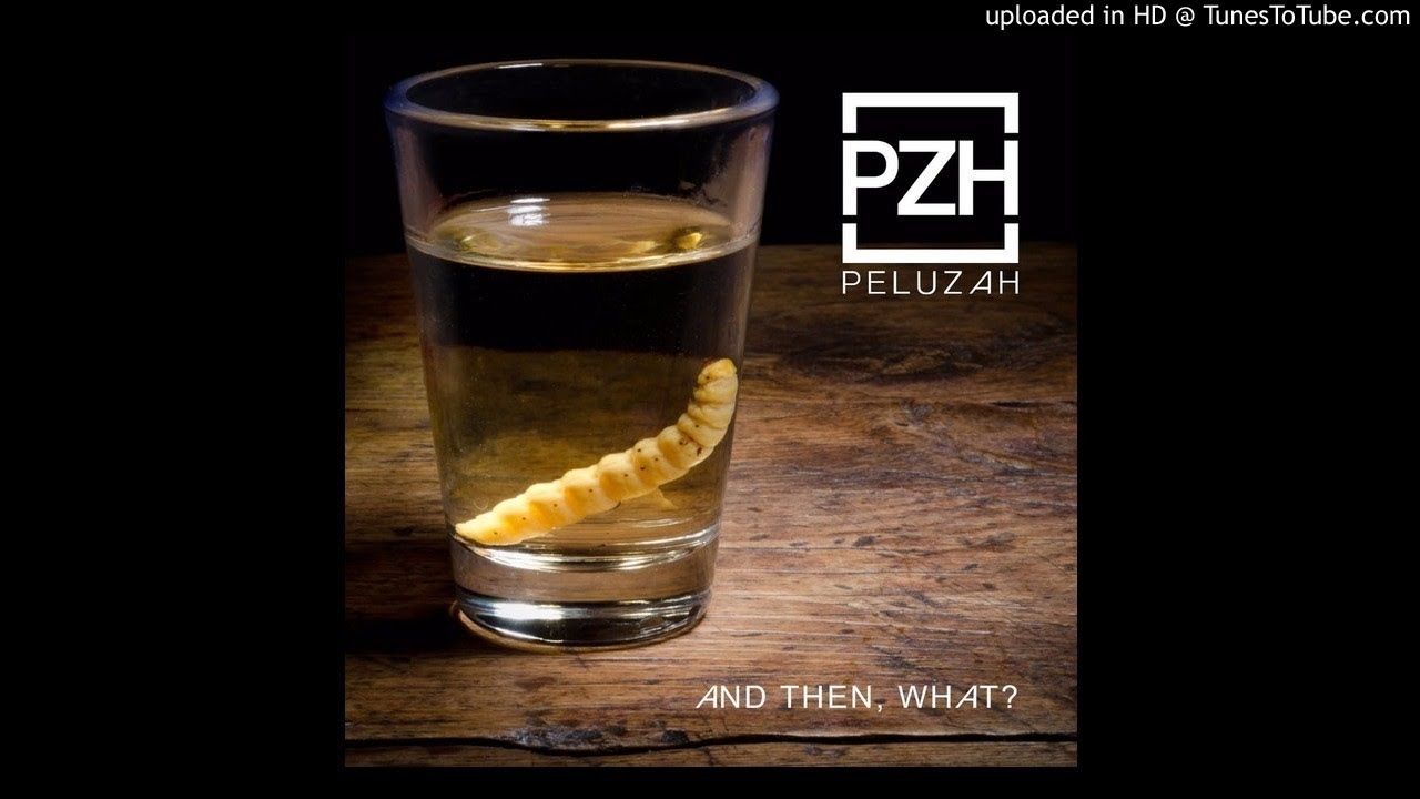在 YouTube 上观看 PeluzaH-Nothing left behind (Feat. Specialized)