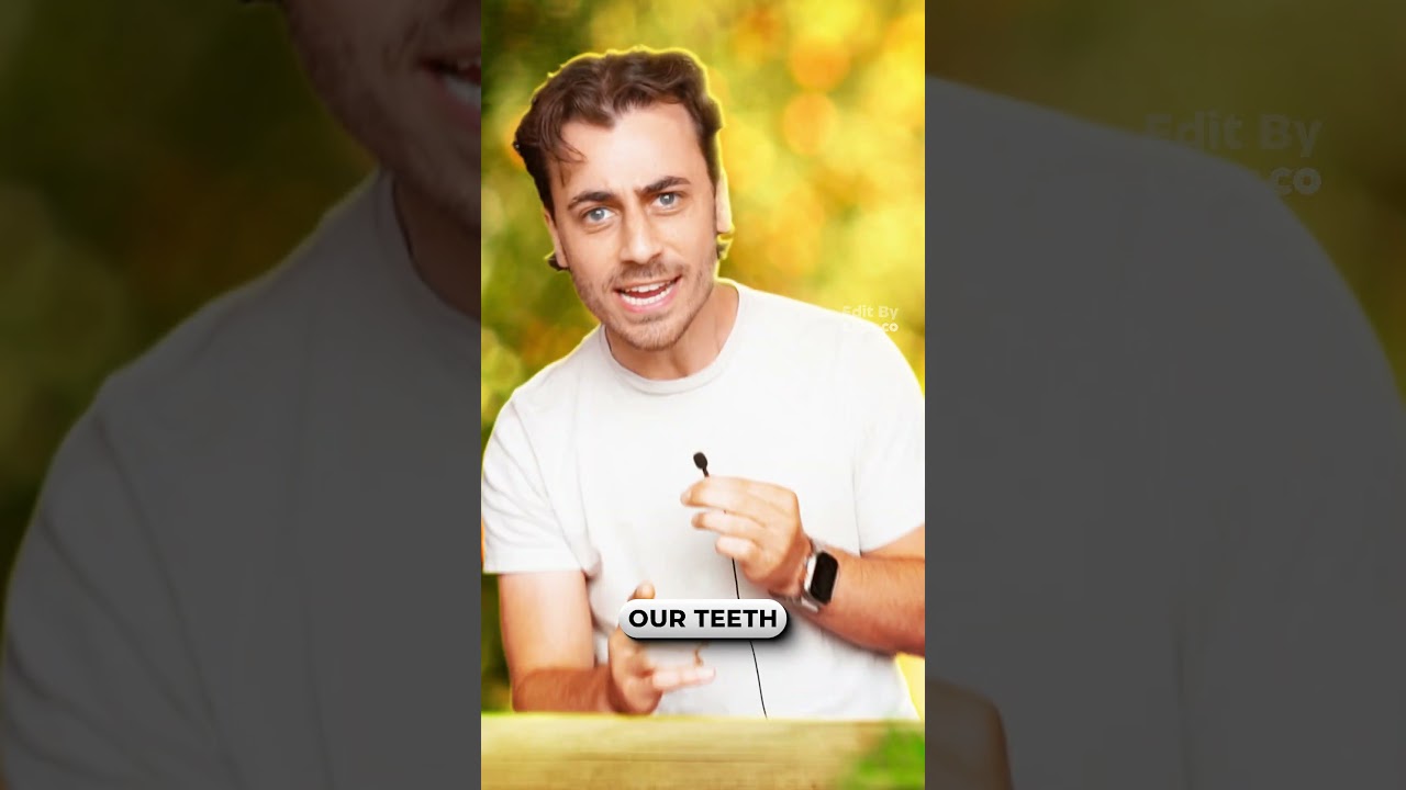 Зачем нам зубы мудрости?