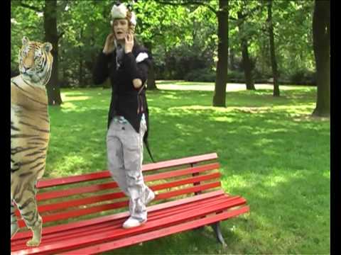 Heidi Mortenson — Tiger - Heidi Mortenson