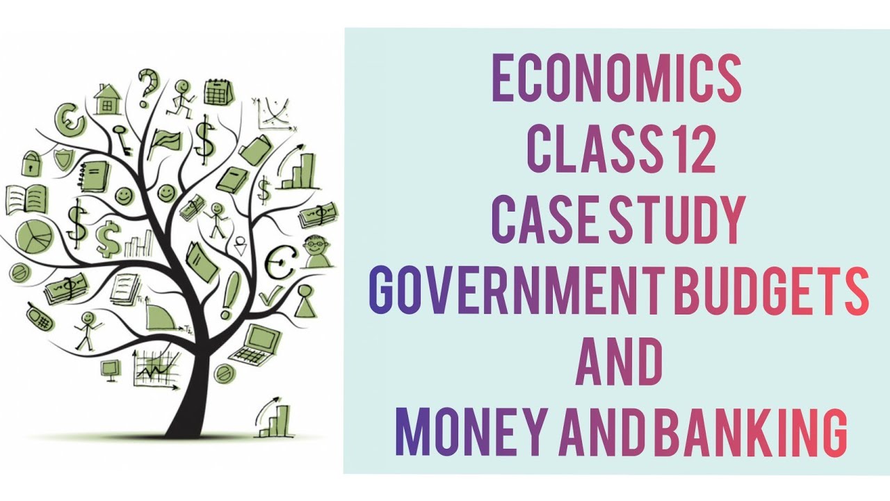 case study on government budget class 12