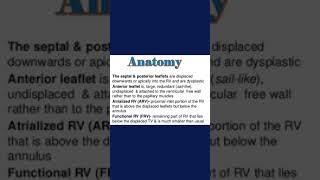 Ebstein’s  Anomaly  (Adult  Congenital TTE)