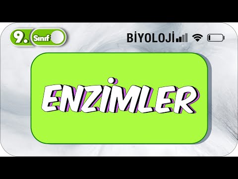 Enzimler  | Öğrenme Garantili Özet Anlatım  #2023