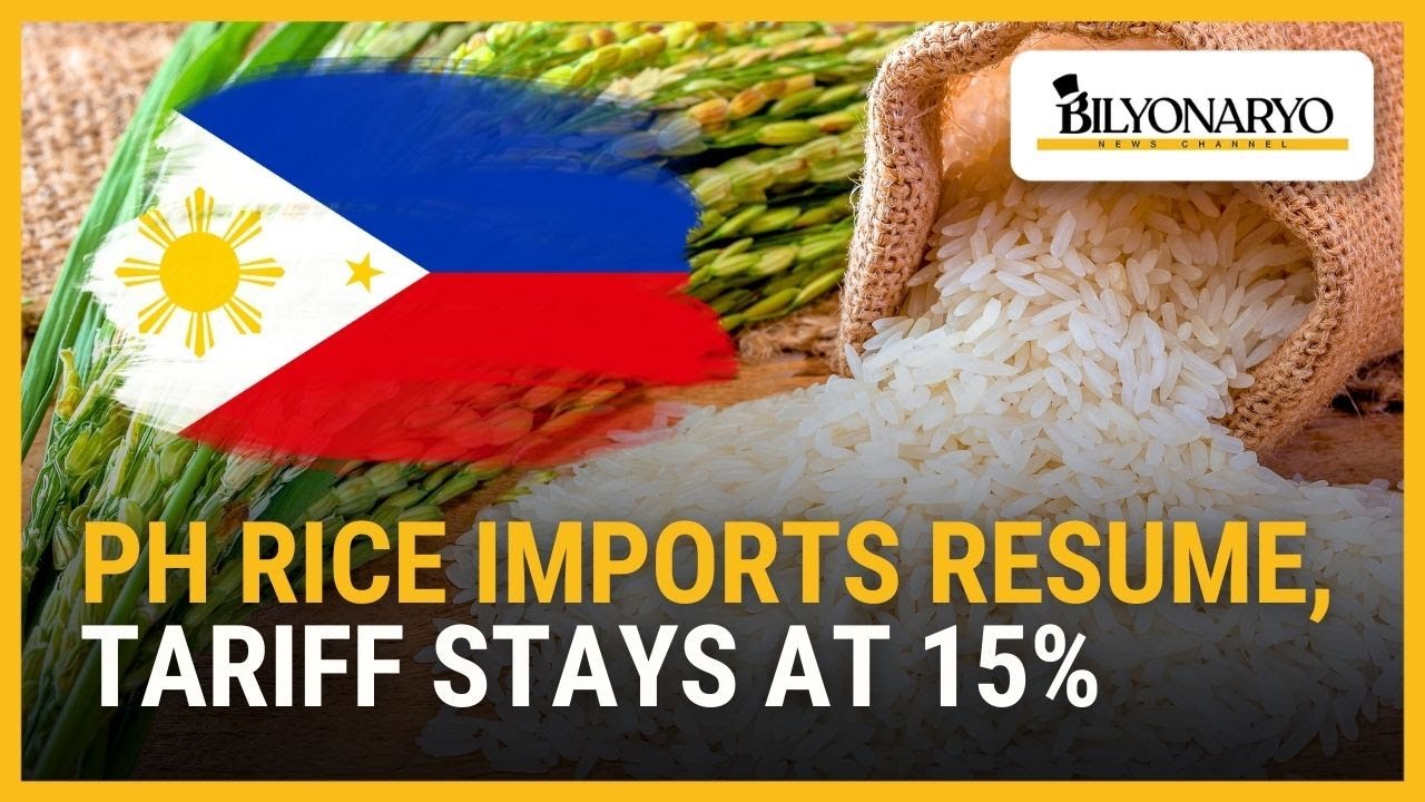 Импорт риса в Филиппины возобновился, тарифы остаются на уровне 15% | Business 360