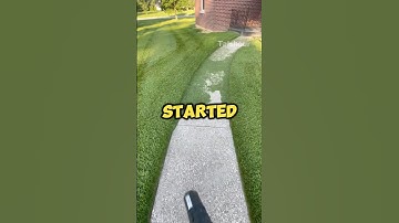 At least a happy ending