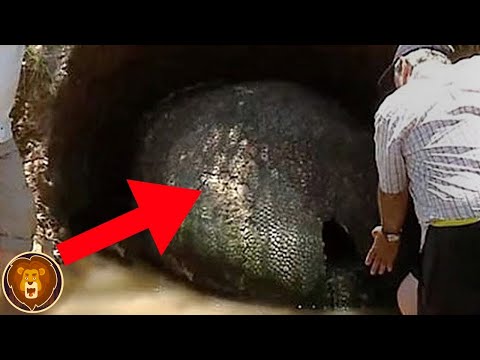 Un Fermier Fait