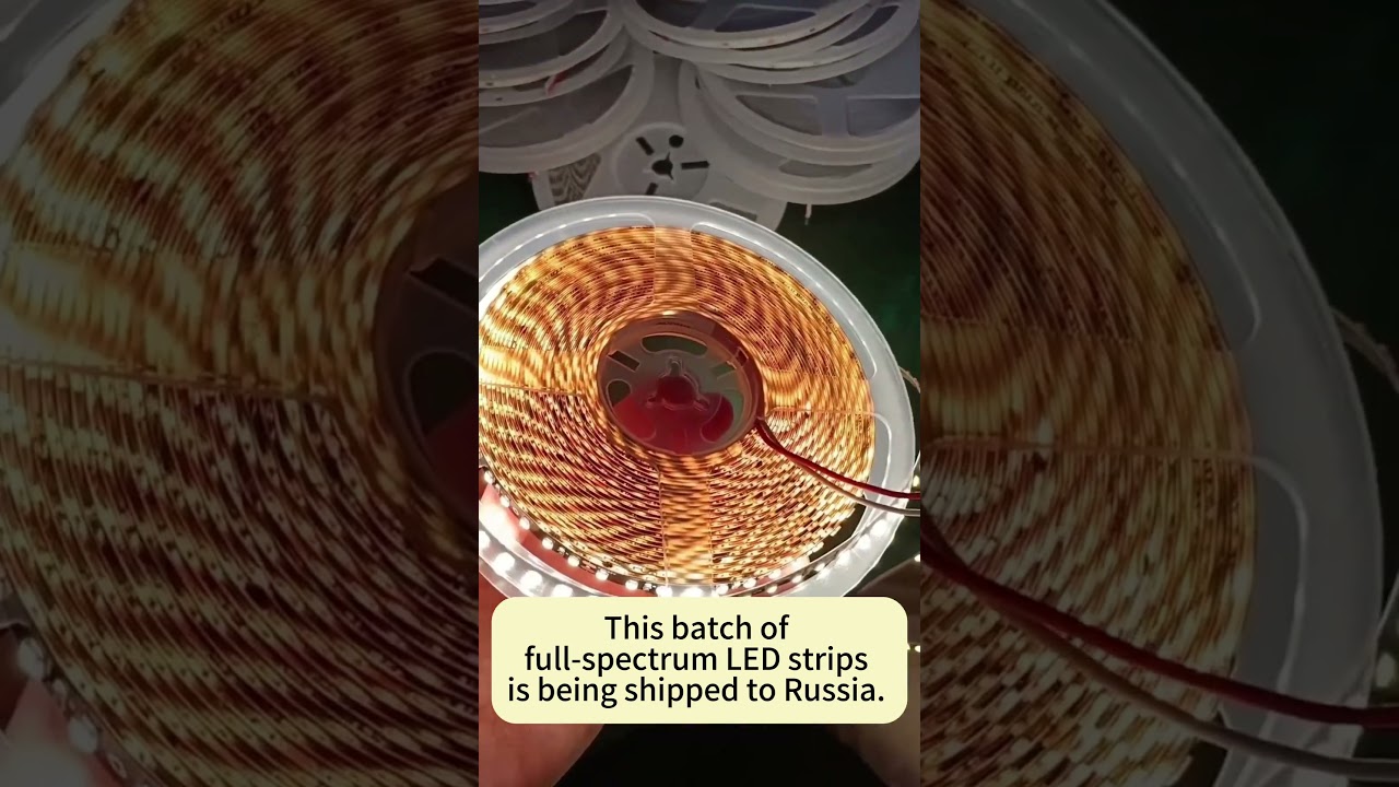 Full Spectrum LED Strip Lights Custom Solutions Shipped to Russia by a Leading Chinese Manufacturer