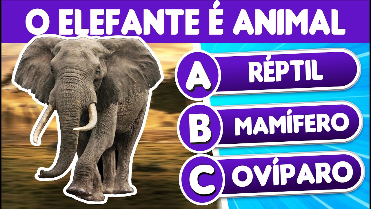 Adivinhe os Animais pelas Classes 🐾 | Vertebrado, Mamífero, Réptil e Muito Mais!