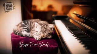 🎹 Relaxing Piano & Sleeping Kitten 🐾  Study Music Bliss 📚✨ screenshot 5