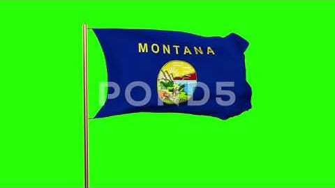 Montana Flag Waving In The Wind. Green Screen, Alpha Matte. Loopable Animation
