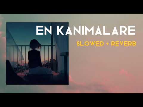 En kanimalare ( slowed + reverb )