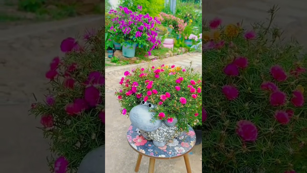 Portulaca Paradise Found 🪴🌸 Flower Arrangement For Home 