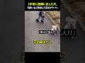 1年前に里親に出した犬、元飼い主と再会した反応がヤバい