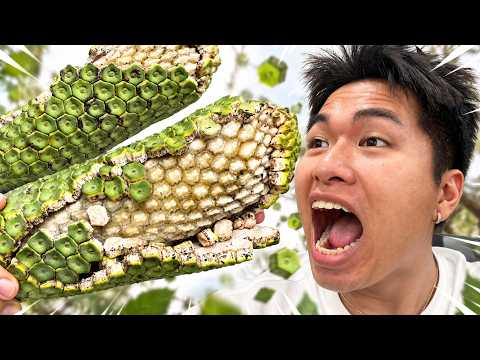 Trying Monstera Fruit for the First Time | Hai Dang Review