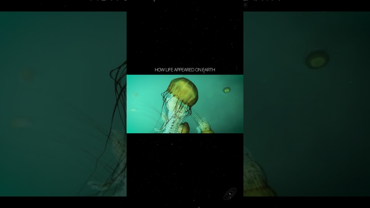 How life appeared on Earth | short 1 #futurism #architecture #history #sciecne