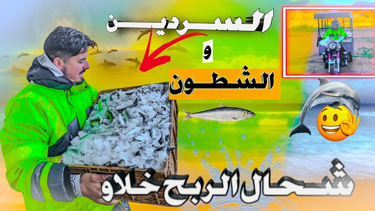 بيـع السمك مع أبي😲 أجواء رائعة شريـنا جوج صنادق الحـوت شحال الربـح خلاو تبارك الله 😲💸