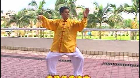 Wu Shi Taiji Quan (Wu Jianquan) Traditional Complex of 83 Forms with Applications