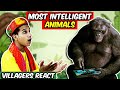 Villagers React To Animals Filmed Having HUMAN-Like IQs ! Tribal People React To Intelligent Animals