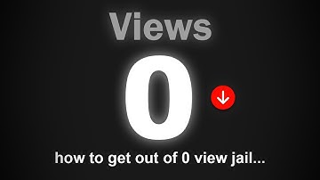 the only video you
