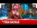 FOSA SALVAJE - EL PULSO DE LA REPÚBLICA