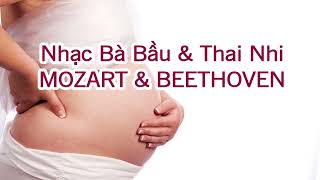 Nhạc Phát Triển Thai Nhi Mozart và Beethoven screenshot 4