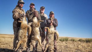 A Coyote Triple to End the Hunt in Colorado!  The Last Stand S4E6