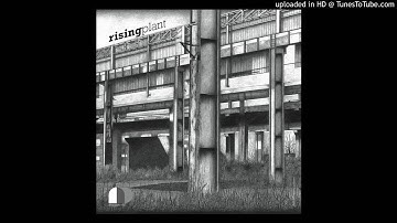 Analogic density - ANLD 002 - Rising Plant - B2 - SOUR - Chrashin