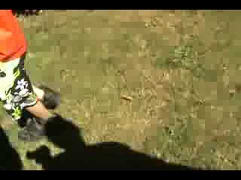 Kid gets trapped in a Rabbit Cage - YouTube