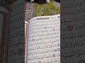 Beautiful Quran Recitation at the shrine of Imam Ali As in Najaf Iraq #shorts