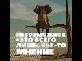 15 марта | Невозможное  это всего лишь, чье то мнение