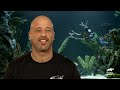 A Grand Slam Hawaiian Fish Tank for Shane Victorino! | Tanked | Animal Planet