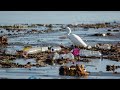 Plastic pollution in a changing climate | Frontiers in Science