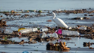 Plastic pollution in a changing climate | Frontiers in Science