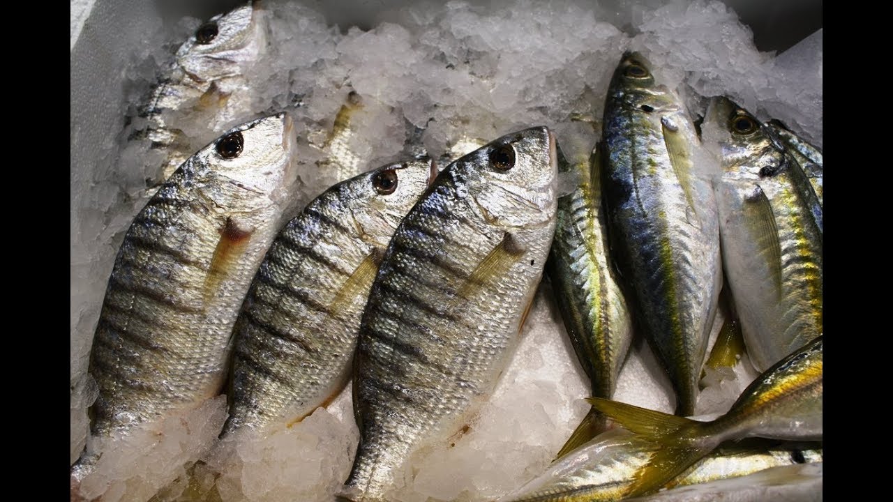 Мурсальский чай. Мифы и реальность. Рыба в Греции. Обзор