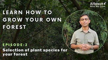 Ch:2 | Forest Survey and Species List | Forest Creation Tutorials | English