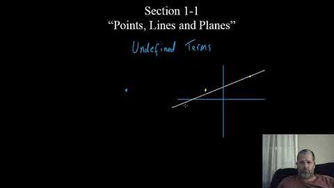 Introduction to Mr  Hammy