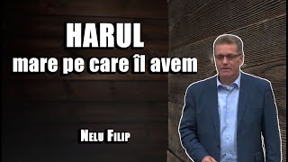 Nelu Filip - Harul mare pe care îl avem | PREDICI 2023