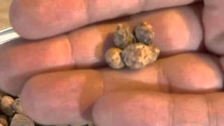 St. Croix Pellet Stove - Fuel Types