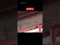 見えたら幸運！境内に現れた妖精【京都パワースポット市比賣神社】#shorts
